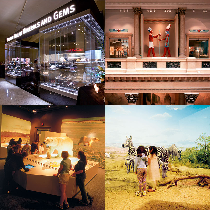 A collage of museum exhibits showcasing minerals and gems, ancient artifacts, polar bears, and zebras, with visitors engaging with displays.