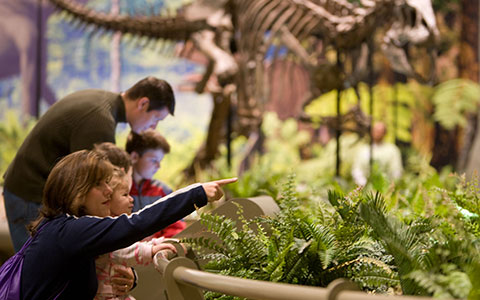A woman points excitedly at dinosaur skeletons displayed in a lush, green museum environment, with children observing nearby.