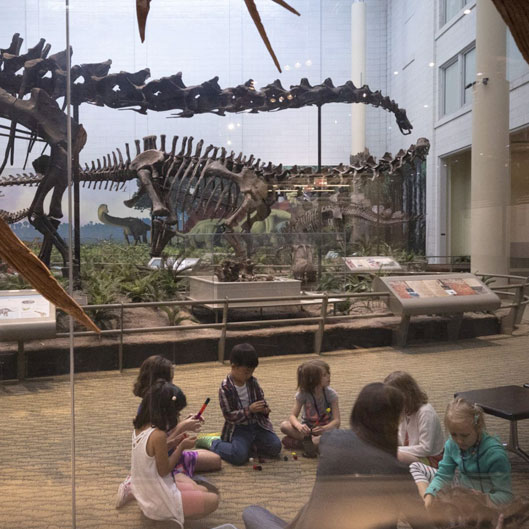 Children sit on the floor of a museum, engaged in play while dinosaur skeletons tower in the background, showcasing paleontological exhibits.