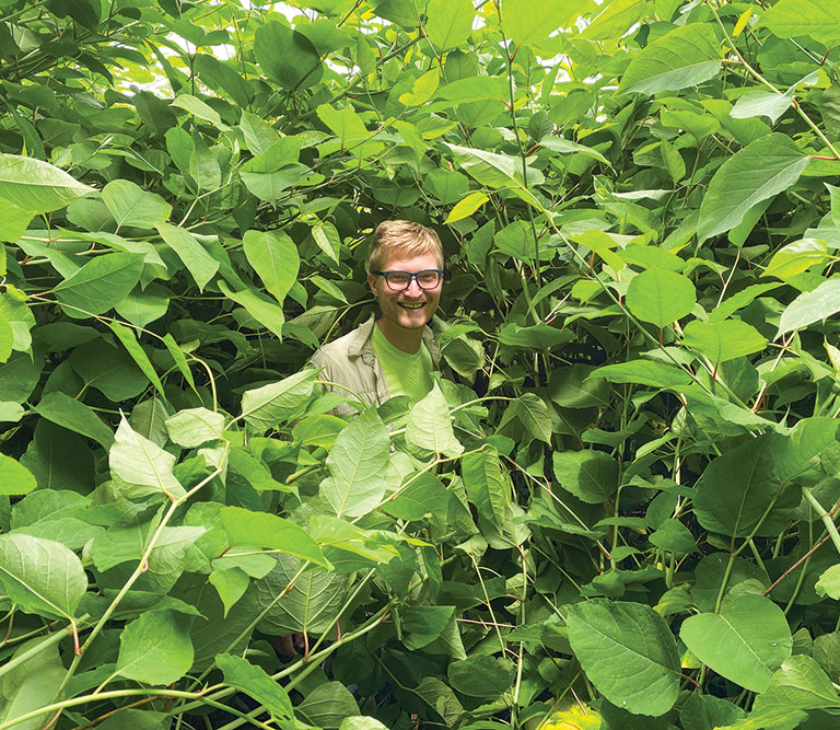 man surrounded by green plants with only his face visible.