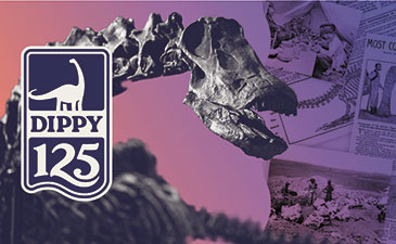 A graphic that says, Dippy 125 with a dinosaur skeleton in the background.