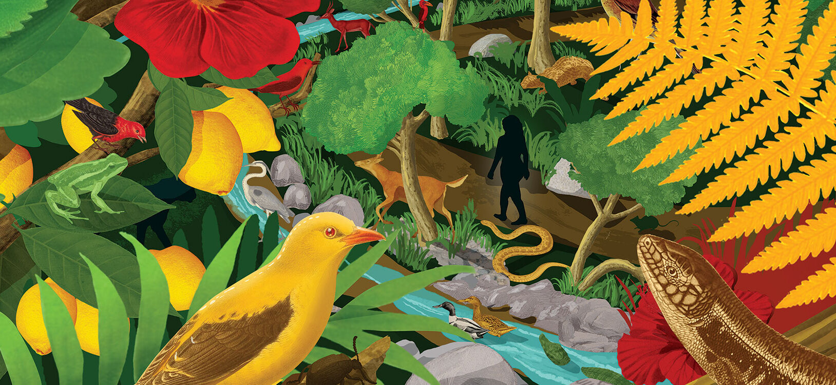 An illustration of a human figure walking through nature