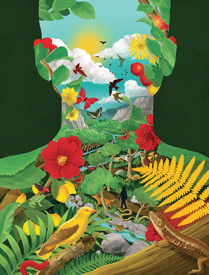 An illustration depicting nature within the silhouette of a human head