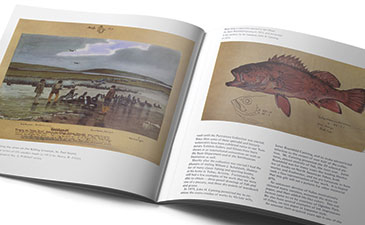 An open book displaying historical illustrations of wildlife, featuring a fishing scene on one page and a fish drawing on the other.