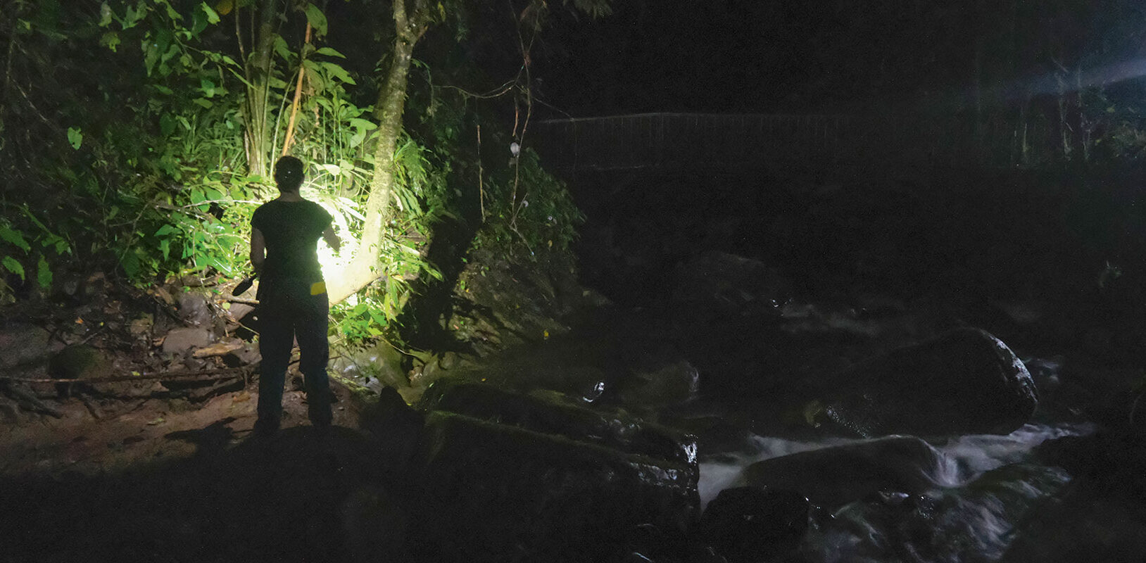 A person stands near a riverbank at night, illuminating lush greenery with a flashlight, surrounded by rocks and flowing water.