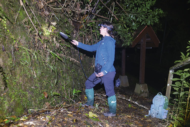 A researcher with a headlamp inspects a mossy wall at night, holding a recording device, surrounded by dense foliage and a backpack nearby. a green leaf in a dense, dark tropical forest at night.