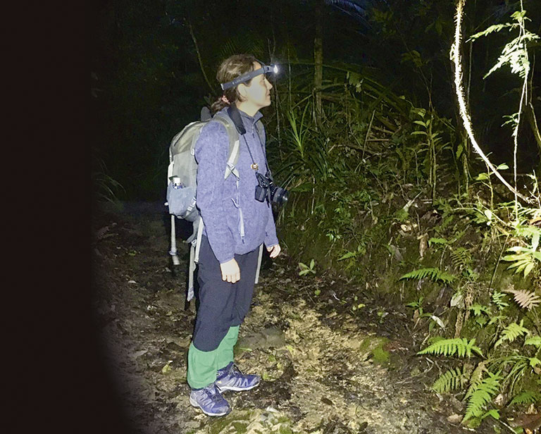 A person in hiking gear stands on a forest path at night, wearing a headlamp and holding a camera, surrounded by lush vegetation.