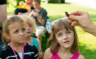 A person holds a small bird, while several curious children gather around, intrigued by the interaction in a lush outdoor setting.