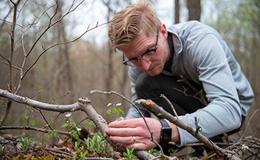 A person crouches in the woods, examining small plants and twigs on the forest floor, surrounded by trees and underbrush.