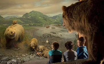A group of children looking at a diorama in the Hall of Mammals