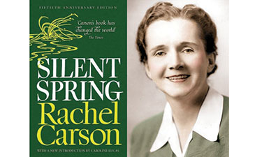 The cover of the book Silent Spring along side of a photo of Rachel Carson.