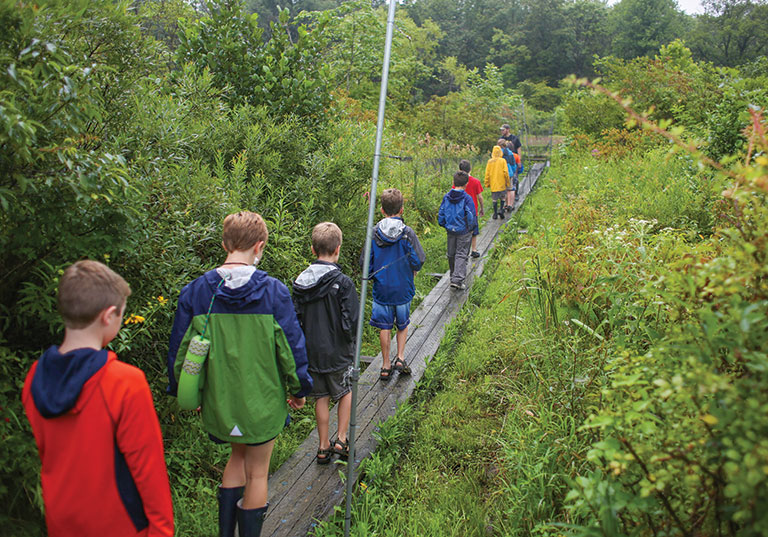 A group of children hiking through the woods.