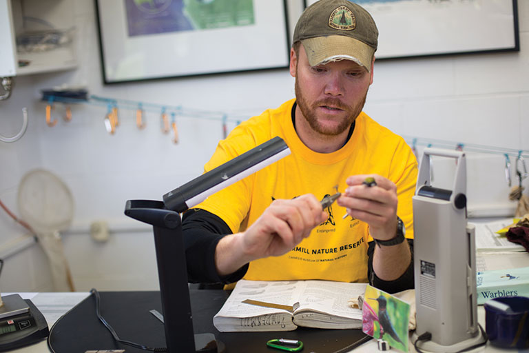 A man banding a bird at Powdermill Nature Reserve