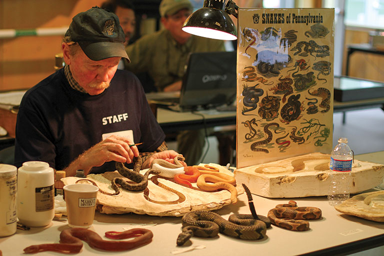 A man with a snake display on a table in front of him.