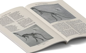 Open book displaying illustrations and text about dinosaur skeletons, featuring detailed descriptions and diagrams.