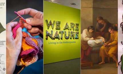 A collage featuring botanical illustrations, knitting hands, a nature-themed exhibit, a classical painting, and vibrant beetles.