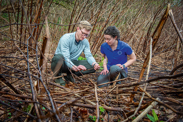 Two individuals crouch on the forest floor, examining plant life among intertwined branches and foliage.