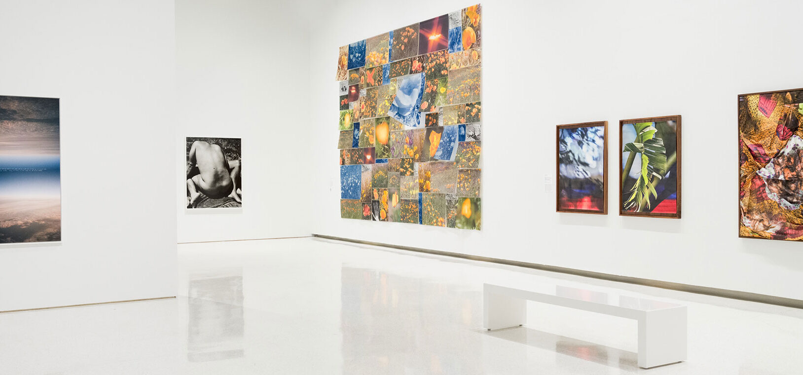 A bright art gallery featuring diverse artworks on white walls, including abstract and nature-themed pieces.