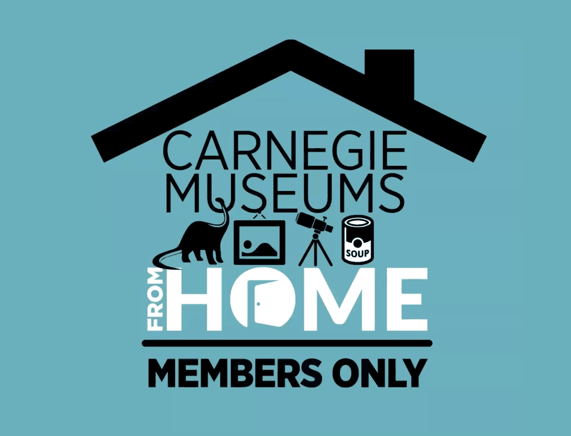 a graphic that reads Carnegie Museums from Home - Members only